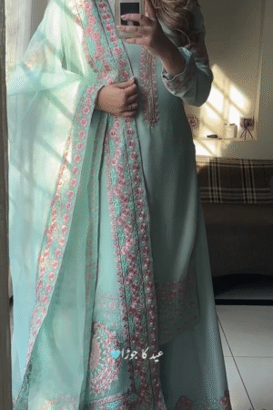 🌷Powder Blue & Pink Embroidered Suit 🌷