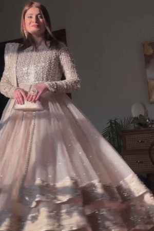 Shimmering Silver & Grey Anarkali Gown ✨