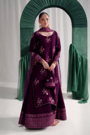👑 Royal Wine Embroidered Suit 🌸 | Ethnic Elegance 💃